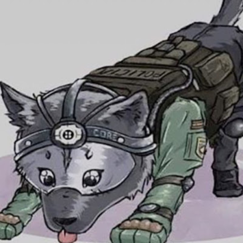 Meet your Posher, Cooper